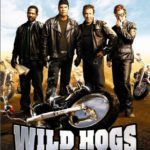 Into the Wild (2007) Movie Reviews