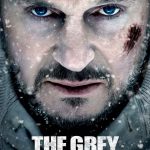In the Grey (2026) In the Grey (2026) Movie Reviews