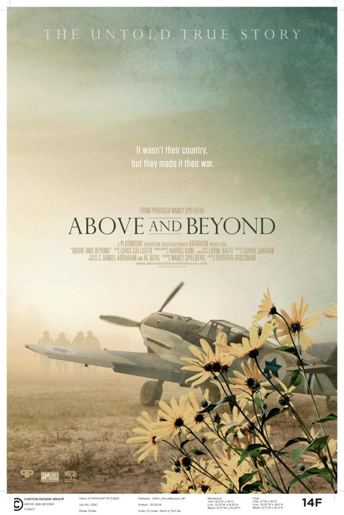 Above and Beyond (2014) Movie Reviews