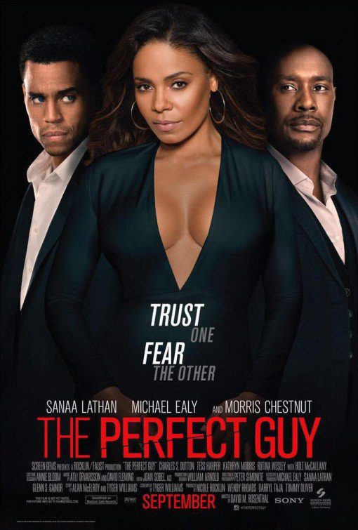 The Perfect Guy (2015) Movie Reviews