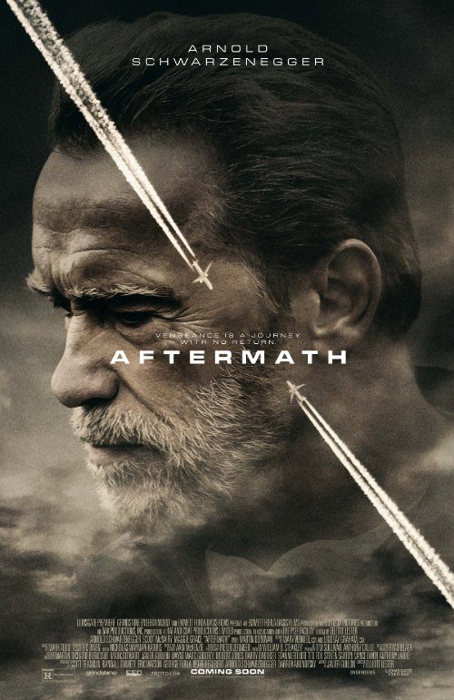 Aftermath (2017) Movie Reviews