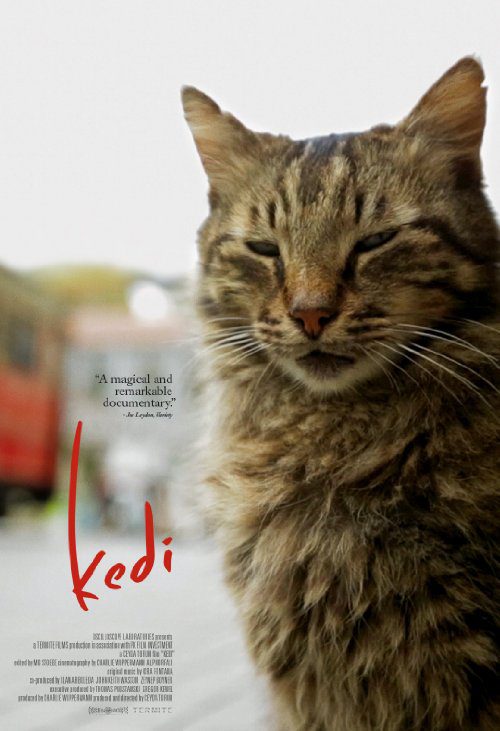 Kedi (2016) Movie Reviews