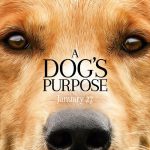 78/52 (2017) 78/52 (2017) Movie Reviews