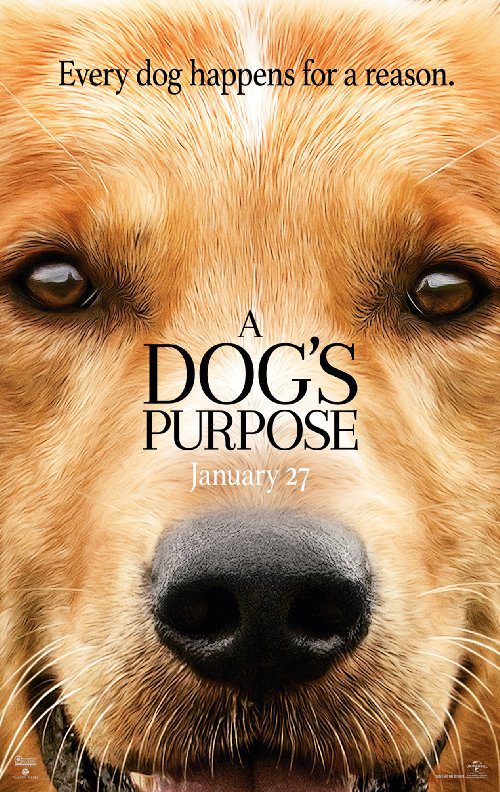 A Dog’s Purpose (2017) Movie Reviews