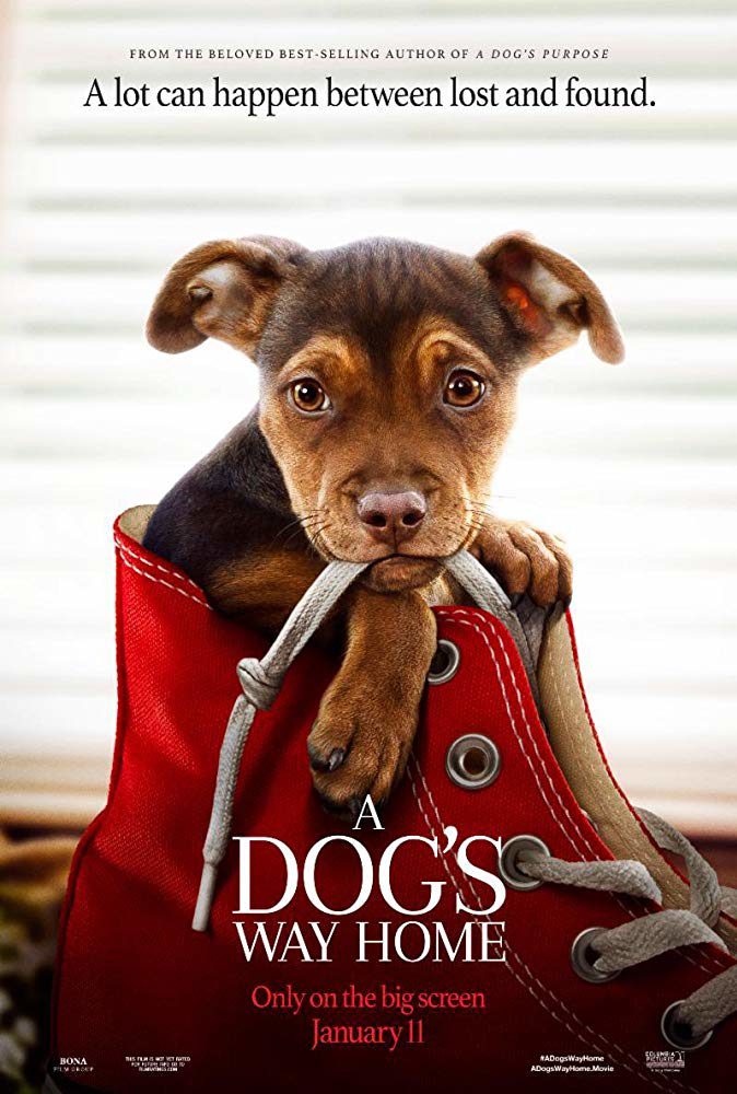 A Dog’s Way Home (2019) Movie Reviews