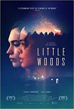 Little Woods (2018) Movie Reviews