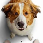 The Social Reckoning (2026) The Social Reckoning (2026) Movie Reviews
