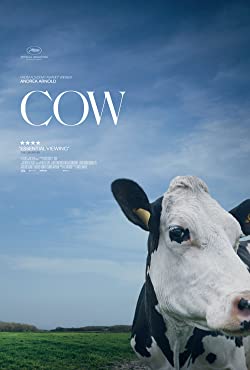 Cow (2021) Movie Reviews
