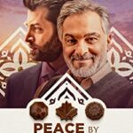 Peace Officer (2015) Peace Officer (2015) Movie Reviews