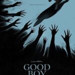 Body (2015) Body (2015) Movie Reviews