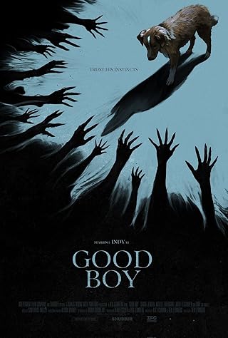 Good Boy (2025) Good Boy (2025) Movie Reviews